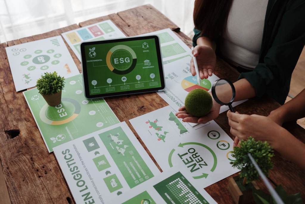 The Rise of Sustainability in Marketing: How Green Marketing is Becoming the New Norm