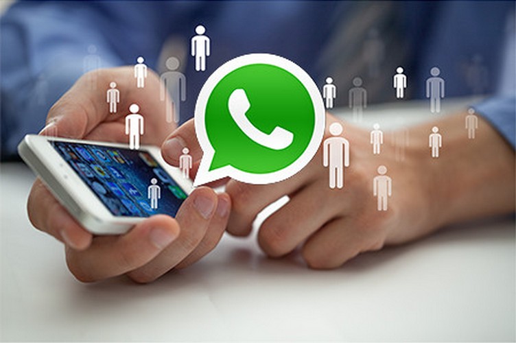 WhatsApp marketing tool. Image credits - mynewshub.cc